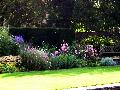 gal/holiday/Yeovil Area 2007 - Tintihull Gardens/_thb_Tintinhull_Gardens_P1010017.jpg